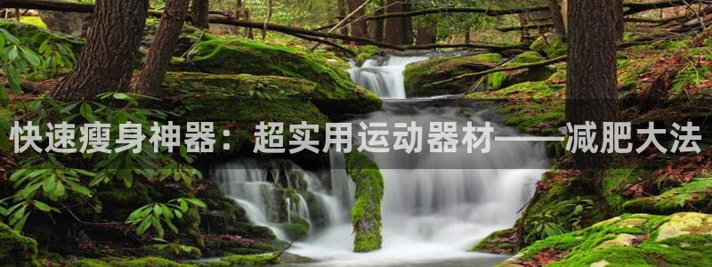 凯捷体育开户:快速瘦身神器:超实用运动器材——减肥大法