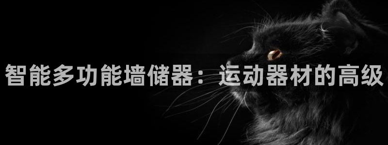 凯捷体育招商电话地址是多少:智能多功能墙储器:运动器材的高级