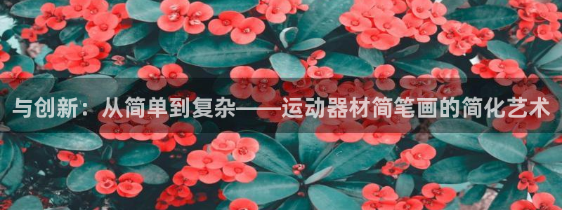 凯捷体育平台注册要钱吗是真的吗:与创新:从简单到复杂——运动